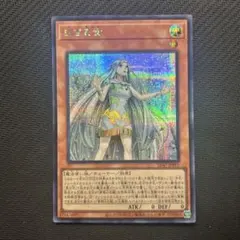 遊戯王OCG 白き乙女 SD47-JPP01 シークレットレア - メルカリ
