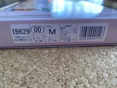 Item thumbnail for item b909b270-70fd-44e3-ba0c-ed600bc2865a