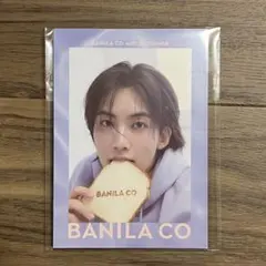 SEVENTEEN ジョンハン バニラコ フォトブック