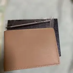 Item thumbnail for item b48398b7-90de-475f-8bfa-fee67b78e827