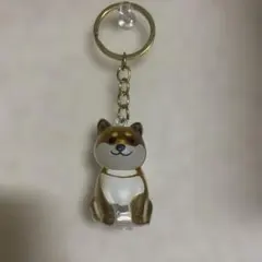 うちの子のけだまだま　柴犬