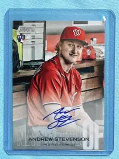 Item thumbnail for item cef13c65-7a20-4035-abab-2fdfeee94906