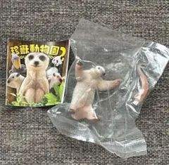 【レア】珍獣動物園2 コアリクイ　ベージュ