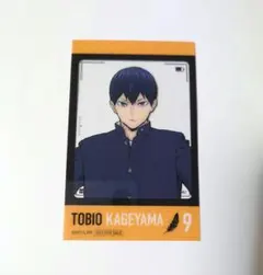ハイキュー！！　アクアリウムキャラバン　影山飛雄