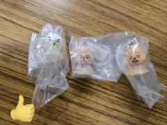 週末値下げ！SKZOO めじるしアクセサリー