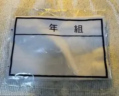 体操服 水着 布製名札 年組 ゼッケン 2枚入り