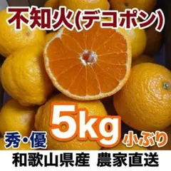【秀・優ランク】和歌山県産 不知火(デコポン) 5kg 農家直送！まとめ買い◎