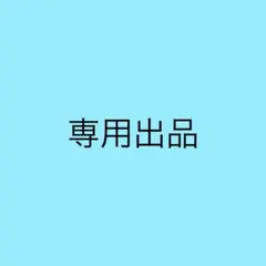 専用出品
