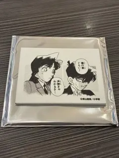 名探偵コナン 工藤新一&毛利蘭 キャンバスマグネット