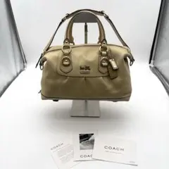 コーチ COACH ハンドバッグ パンチングレザー F17130 保存袋付 - メルカリ