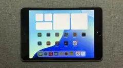 iPad mini 5 64GB Wi-Fi+Cellular
