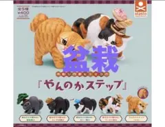 クリリン様 リクエスト 2点 まとめ商品