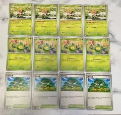 シェイミ　スボミー　活力の森　ポケモンカード　草タイプ　汎用