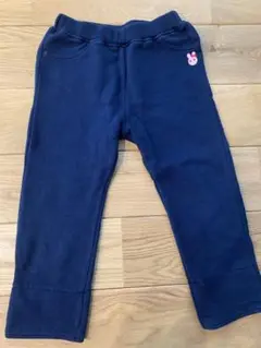 HOTBISCUITS 100