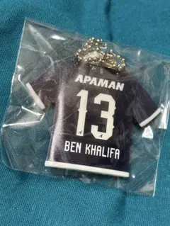 Item thumbnail for item cf8fd53e-f5b4-4291-bb34-de35d70ff4dd