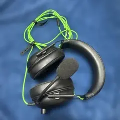 Item thumbnail for item 91d54383-0e1d-45e6-98b6-f8ca5aed00f8