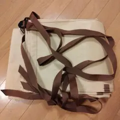 Item thumbnail for item c3b63adf-496f-4934-bf59-e475bf1e4896