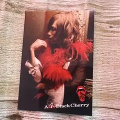 2026年最新】acid black cherry cdの人気アイテム - メルカリ