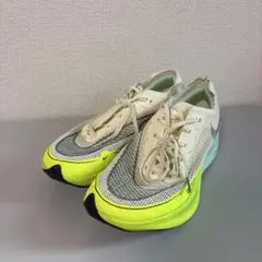 Nike ヴェイパーフライ ネクスト% 25cm