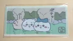 ちいかわ チケットホルダー