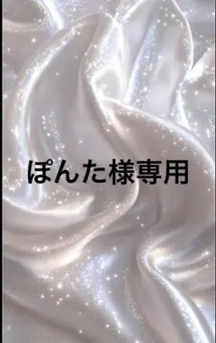 ぽんた様専用