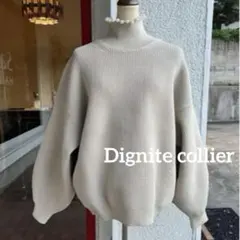 ディニテコリエ＊パールハイネック ざっくり軽いポリエステル プルオーバーニットのサムネイル