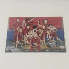 ハイキュー!! ゴミ捨て場の決戦 入場者特典 音駒高校最後の集合写真