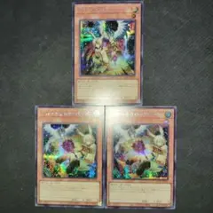 遊戯王 ドロール＆ロックバード シークレット 1枚 絵違い 2枚