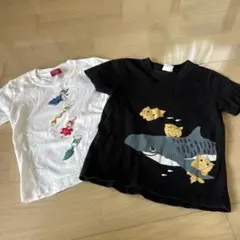 HabuBox 沖縄美ら海水族館　Tシャツ 2枚セット 110cm.120cm