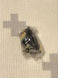 光るポメラニアン ガチャ カプセルトイ ブラックタン