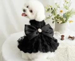 ペット　犬 服セット