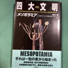 NHKスペシャル 四大文明 DVD 5作品セット Amazon.co.jp: NHKスペシャル 四大文明 全5巻セット [DVD