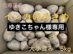 【ゆきこちゃん様専用】北海道産じゃがいも（インカのめざめ）　大小混み5kg