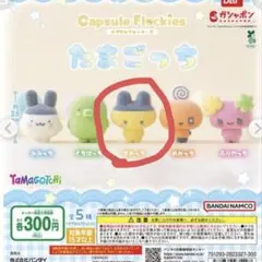 ガチャガチャ　たまごっち　まめっち　カプセルフロッキーズ