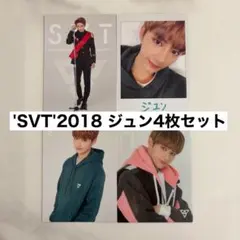 SEVENTEEN ジュン トレカセット