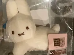 Item thumbnail for item 8ba5ece7-6c35-41d1-b713-5f81b8c24de8