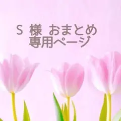 S 様 おまとめ専用ページです。