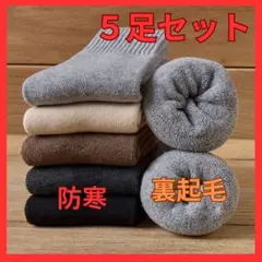 【在庫限り】 裏起毛 レディースソックス 5足セット 防寒 無地