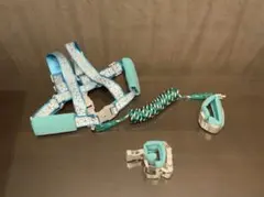 Item thumbnail for item 32fb5743-c566-4e7b-9df2-9c51f12918ce