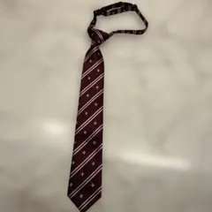 Item thumbnail for item ad886ee9-8977-47c1-aa4d-ac46cf94d2fe