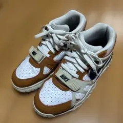 ナイキ エアトレーナー3 レトロ 'メディシンボール' CJ1436-100