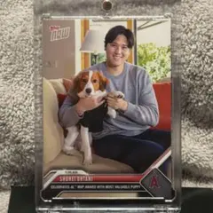 2025年最新】topps 2023 大谷翔平の人気アイテム - メルカリ