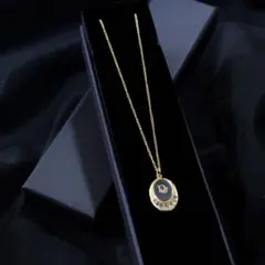 【極希少】クリスチャンディオール トロッター ネックレス ブラック ストーン