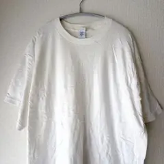 フルーツオブザルーム 無地 Tシャツ クルーネック半袖 XL 白 綿 普段着のサムネイル