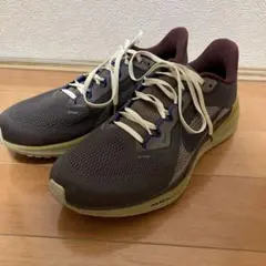 エア ズーム ペガサス 41 プレミアム 28.5cm