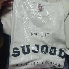 CROSS & STITCH Tシャツ FALL IN SUJOOD L美品