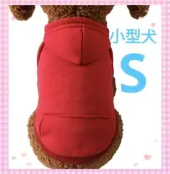 小型犬　パーカー　赤　S　1点限り！　かわいい　部屋着　散歩