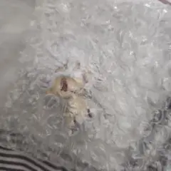 Item thumbnail for item 5d31a1f6-7e0e-4d93-958f-ee64fc9b1fd8