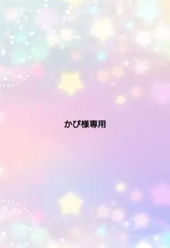かぴ様専用