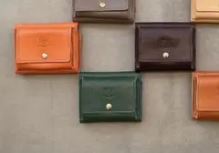 IL BISONTEのサムネイル